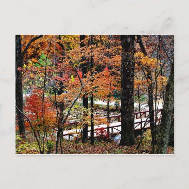 Carte Postale Pont à l'automne avec Feuilles de l'arbre d'automn (Devant)