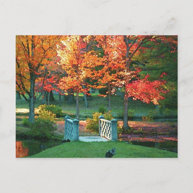 Carte Postale Pont à pied à l'automne (Devant)