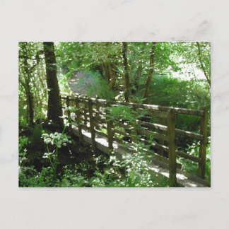 Carte Postale Pont à Woodland.