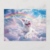 Pont arc-en-ciel, chien blanc au ciel