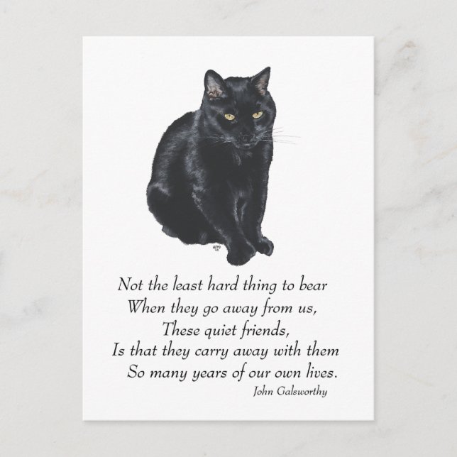 Carte Postale Pont arc-en-ciel du chat noir (Devant)