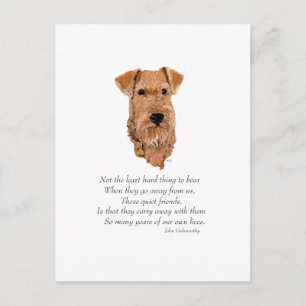 Carte Postale Pont arc-en-ciel Terrier Irlandais