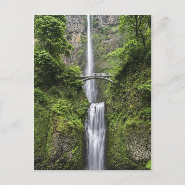 Carte Postale Pont au-dessus du paysage des chutes d'eau (Devant)