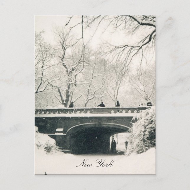 Carte Postale pont central du parc (Devant)