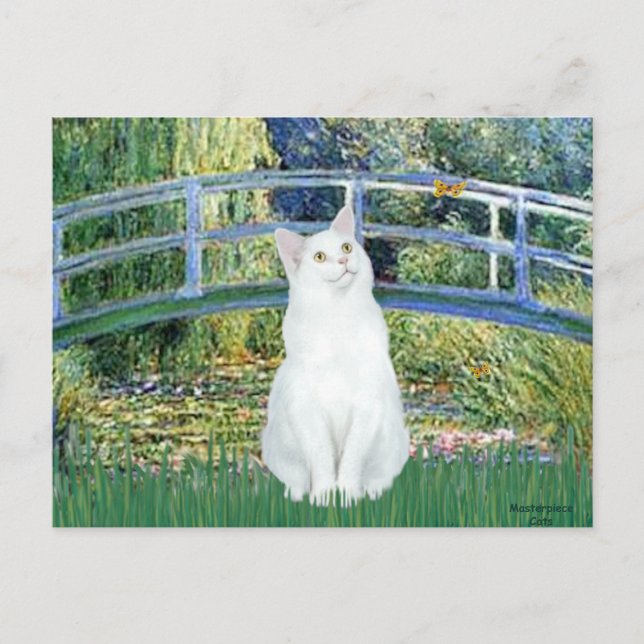 Carte Postale Pont - Chat à poils courts blanc (Devant)