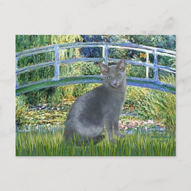 Carte Postale Pont - Chat bleu russe 2 (Devant)