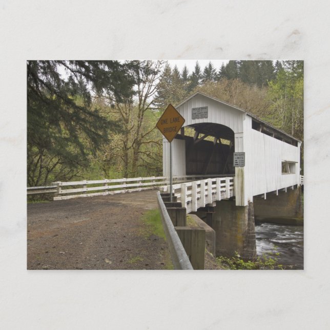 Carte Postale Pont couvert de Wild Cat, comté de Lane, Oregon (Devant)