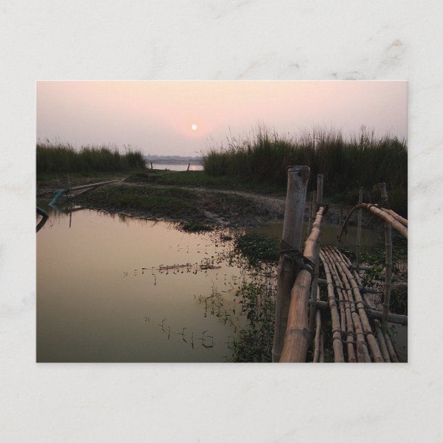 Carte Postale Pont de Bambou, Ganges, Bengale-Occidental, Inde (Devant)