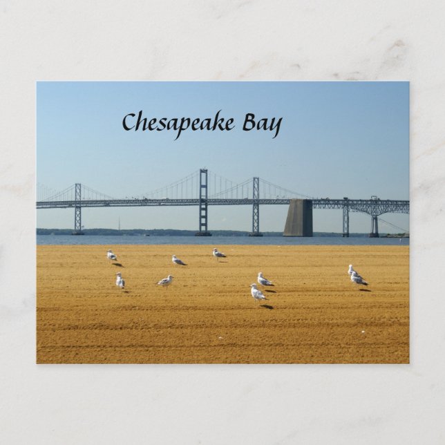 Carte Postale Pont de la baie de Chesapeake (Devant)