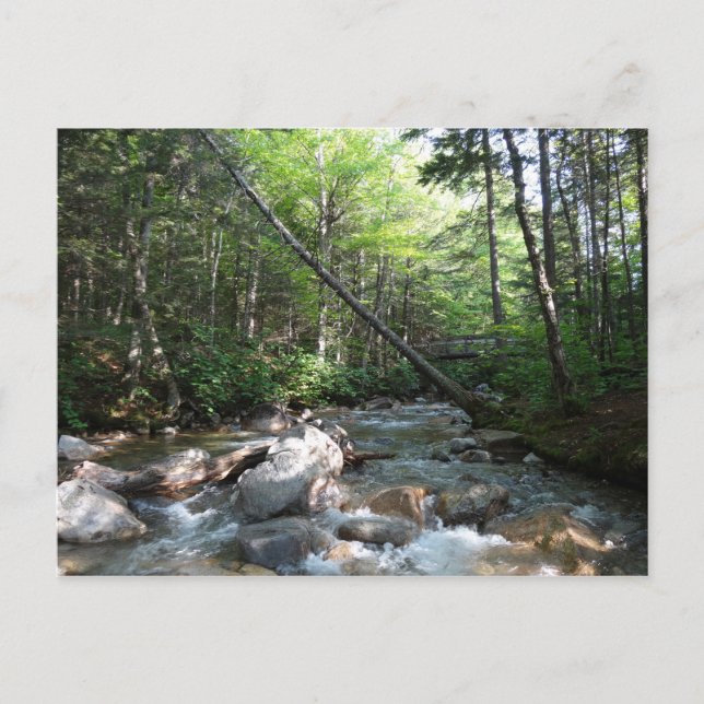 Carte Postale Pont de la rivière Pemigewasset dans le New Hampsh (Devant)