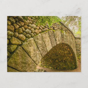 Carte Postale Pont de pavés Acadia National Park