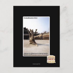 Carte Postale Pont de shaolin