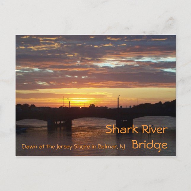Carte Postale Pont de Shark River (Devant)