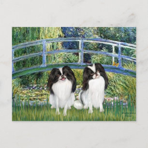 Carte Postale Pont - Deux Chins Japonais (2BW)