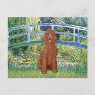 Carte Postale Pont du bassin aux nymphéas - Caniche standard rou