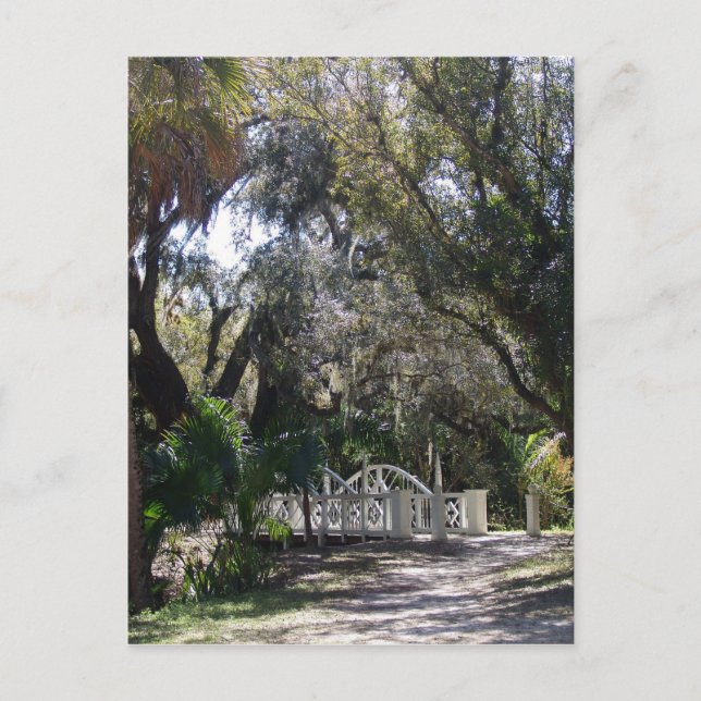 Carte Postale Pont du parc (Devant)