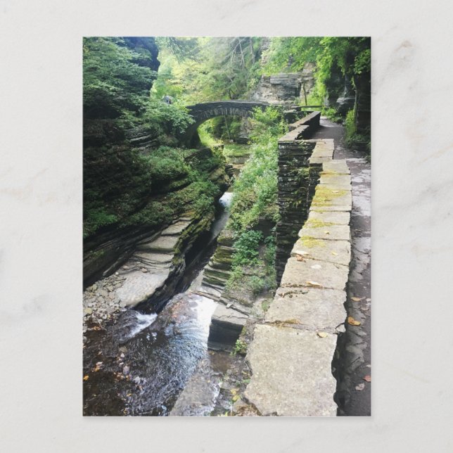 Carte Postale pont du parc national robert h. treman (Devant)