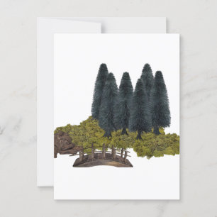 Carte Postale Pont en bois dans la forêt de montagne