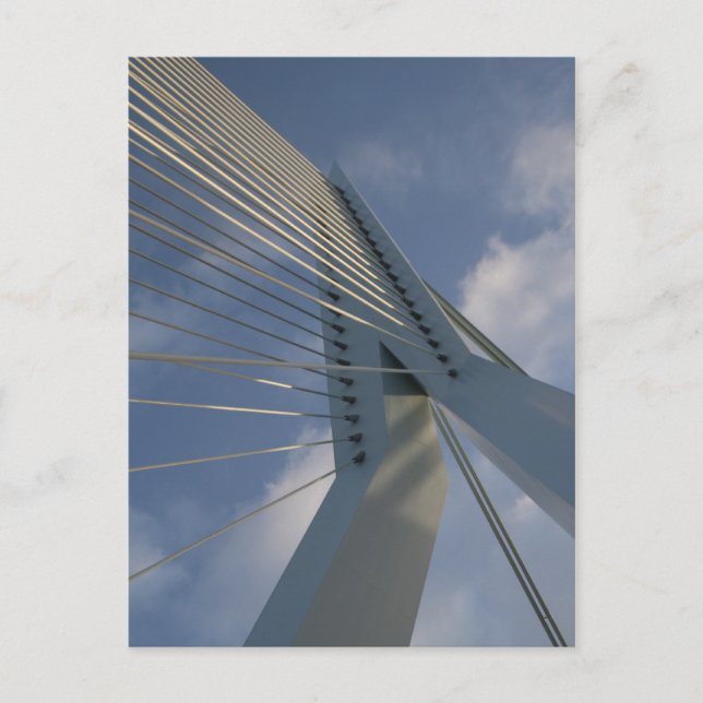 Carte Postale Pont Erasmus, Rotterdam (Devant)