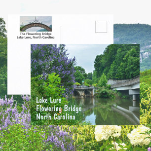Carte Postale Pont Fleurissant Lake Lure Caroline du Nord Photo