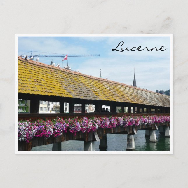 Carte Postale pont floral lucerne (Devant)