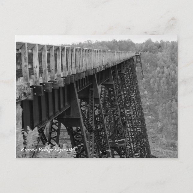 Carte Postale Pont Kinzua Skywalk (Devant)