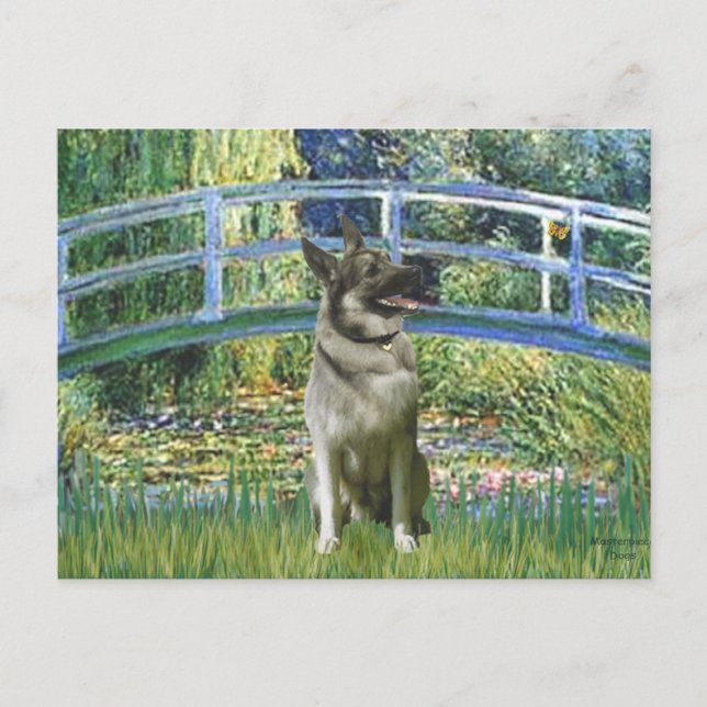 Carte Postale Pont - Norvégien Elkhound (Devant)