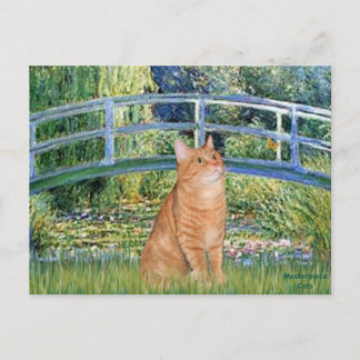 Carte Postale Pont - Orange Tabby SH cat 46