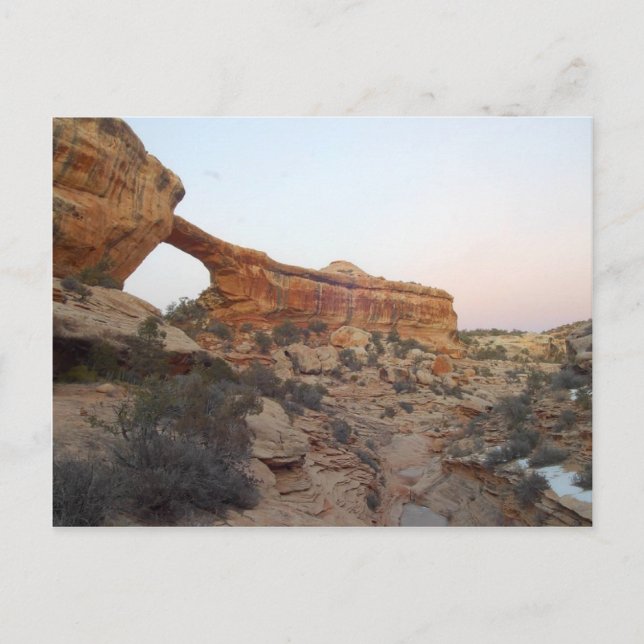 Carte Postale Pont Owachomo Aux Ponts Naturels Monume National (Devant)