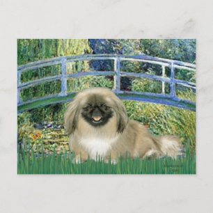 Carte Postale Pont - Pekingese 1b
