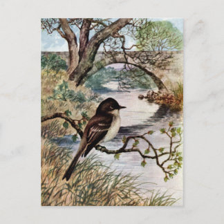 Carte Postale Pont Phoebe et Pierre au-dessus du ruisseau