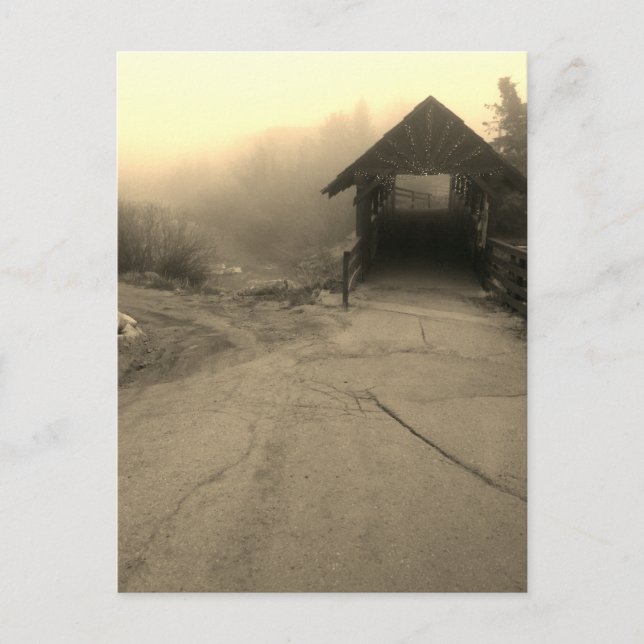 Carte Postale pont piétonnier nederland (Devant)