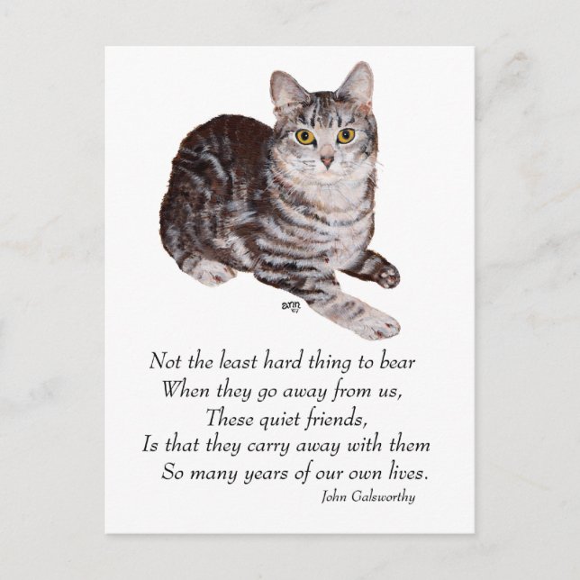 Carte Postale Pont Rainbow Tabby Cat (Devant)