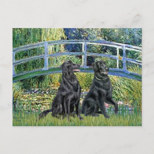 Carte Postale Pont - Retriever à poil plat (deux) (Devant)