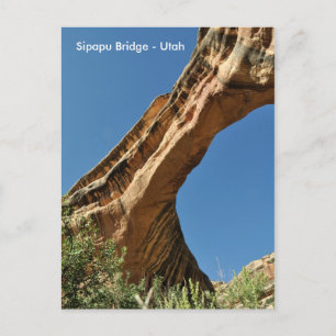 Carte Postale Pont Sipapu - Ponts Naturels Monument National