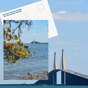 Carte Postale Pont Sunshine Skyway Bridge St Petersburg Photogra