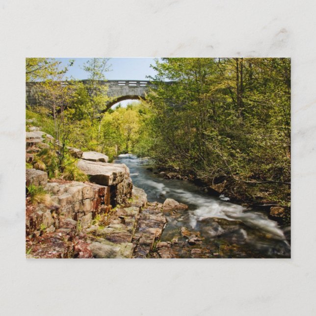 Carte Postale Pont sur la rivière (Devant)