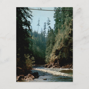 Carte Postale Pont suspendu de Capilano Vue de rivière vintage