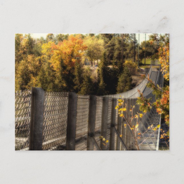 Carte Postale Pont Suspension de la gorge Ranney (Devant)