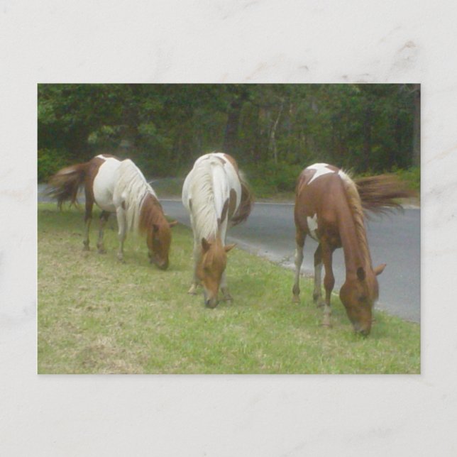 Carte Postale Ponts insouciants (Devant)