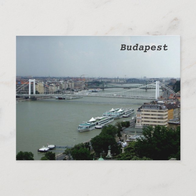 Carte Postale Ponts sur le Danube (Devant)