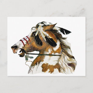 Carte Postale Pony peint