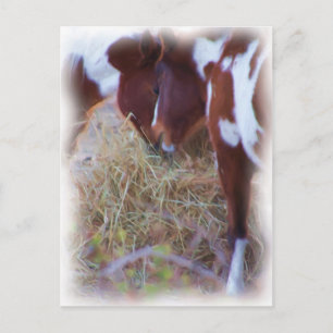 Carte Postale ponylove