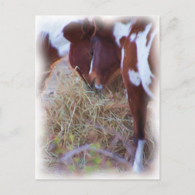 Carte Postale ponylove (Devant)