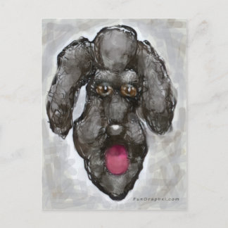 Carte Postale Poodle