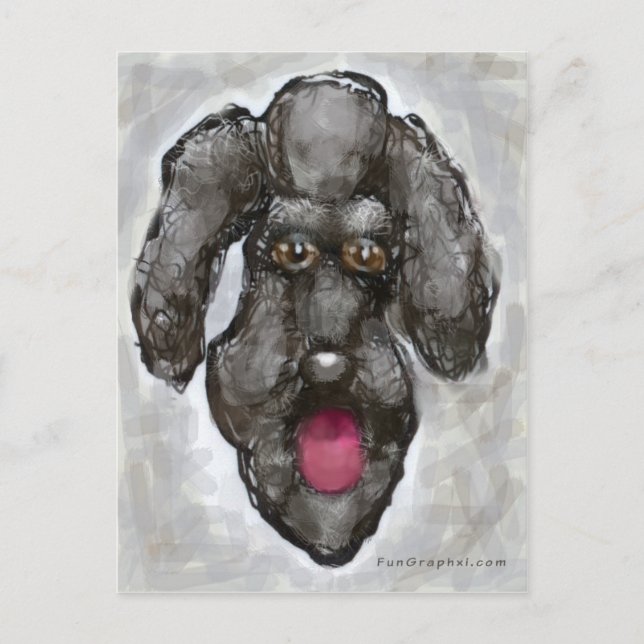 Carte Postale Poodle (Devant)