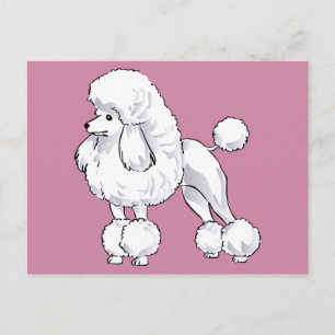 Carte Postale Poodle