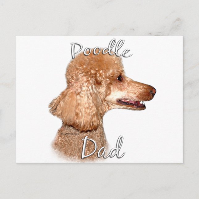 Carte Postale Poodle (abricot) Papa 2 (Devant)