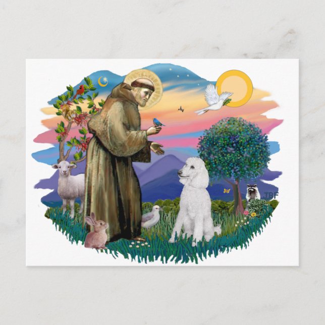 Carte Postale Poodle (blanc standard) (Devant)