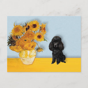 Carte Postale Poodle (Noir1) - Fleurs de soleil